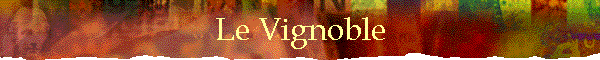 Le Vignoble