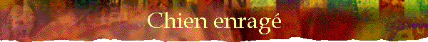Chien enrag�