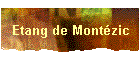 Etang de Mont�zic