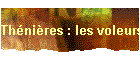 Th�ni�res : les voleurs